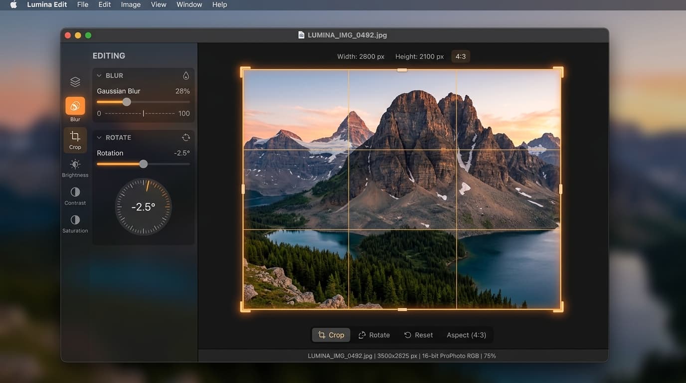 Built-in Image Editor